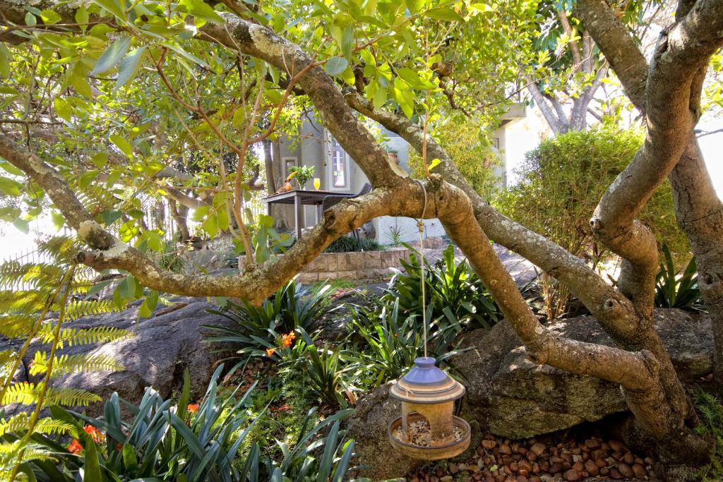Loerie'S Call Guesthouse Mbombela Ngoại thất bức ảnh